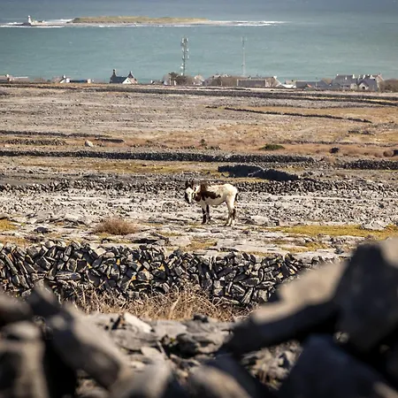 Aran Islands 킬로난