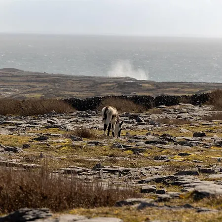 Aran Islands Hotel